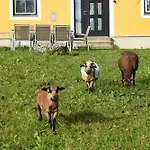 Bauernhof Erleben - Stilvolle 120m2 Im Mostviertel