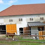 Bauernhof Erleben - Stilvolle 120m2 Im Mostviertel * Sankt Martin am Ybbsfelde