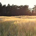 Bauernhof Erleben - Stilvolle 120m2 Im Mostviertel *