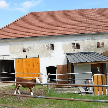Bauernhof Erleben - Stilvolle 120m2 Im Mostviertel * Sankt Martin am Ybbsfelde
