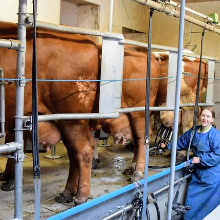 Bauernhof Erleben - Stilvolle 120m2 Im Mostviertel Sankt Martin am Ybbsfelde