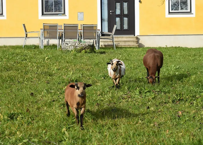 Bauernhof Erleben - Stilvolle 120m2 Im Mostviertel