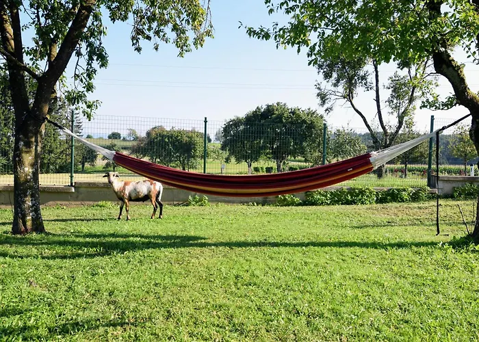 Bauernhof Erleben - Stilvolle 120m2 Im Mostviertel * Sankt Martin am Ybbsfelde