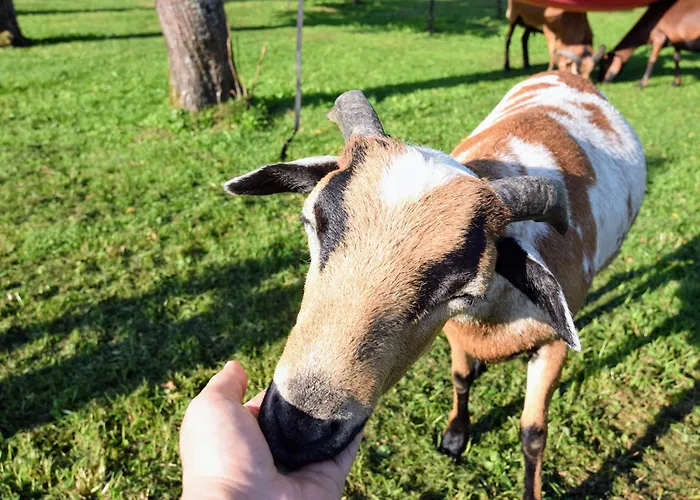 Bauernhof Erleben - Stilvolle 120m2 Im Mostviertel Sankt Martin am Ybbsfelde