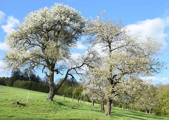 Apartment Bauernhof Erleben - Stilvolle 120m2 Im Mostviertel Sankt Martin am Ybbsfelde