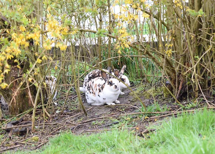 Apartment Bauernhof Erleben - Stilvolle 120m2 Im Mostviertel