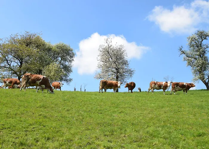 Bauernhof Erleben - Stilvolle 120m2 Im Mostviertel Sankt Martin am Ybbsfelde