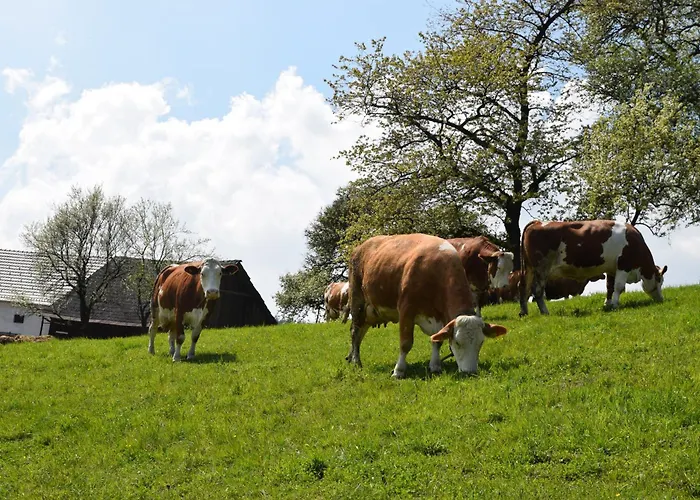 Apartment Bauernhof Erleben - Stilvolle 120m2 Im Mostviertel