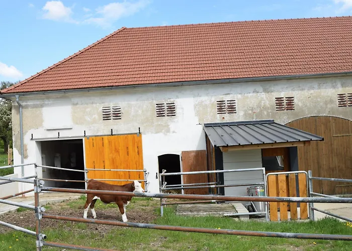 Bauernhof Erleben - Stilvolle 120m2 Im Mostviertel * Sankt Martin am Ybbsfelde