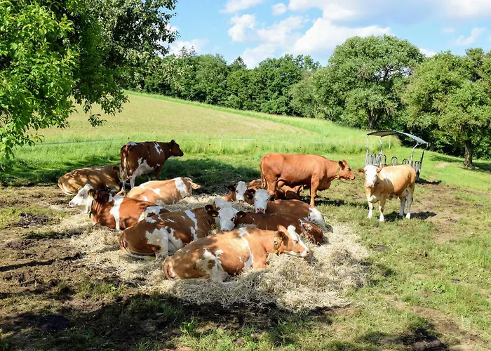 Bauernhof Erleben - Stilvolle 120m2 Im Mostviertel Apartment Sankt Martin am Ybbsfelde