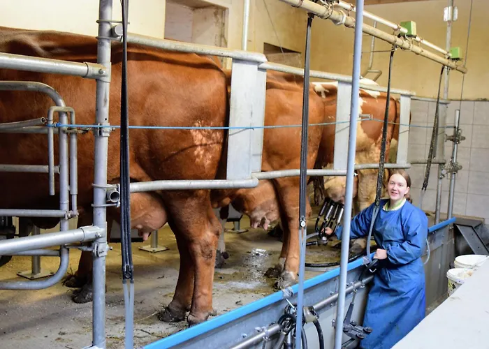 Bauernhof Erleben - Stilvolle 120m2 Im Mostviertel Sankt Martin am Ybbsfelde