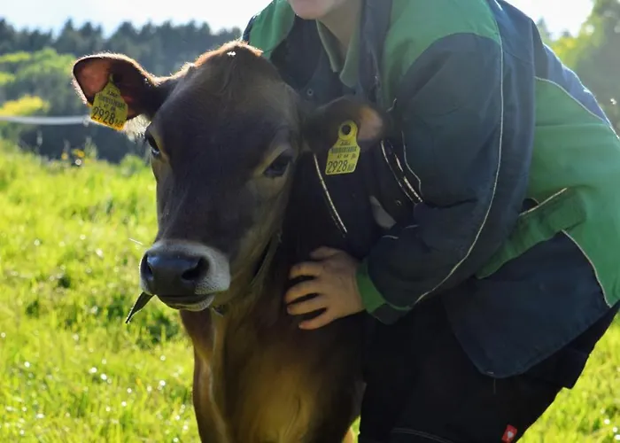 Bauernhof Erleben - Stilvolle 120m2 Im Mostviertel Sankt Martin am Ybbsfelde