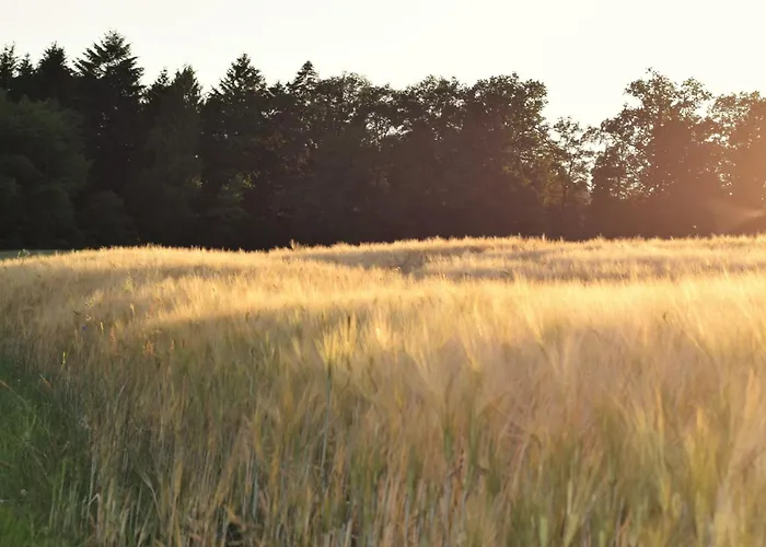 Bauernhof Erleben - Stilvolle 120m2 Im Mostviertel *
