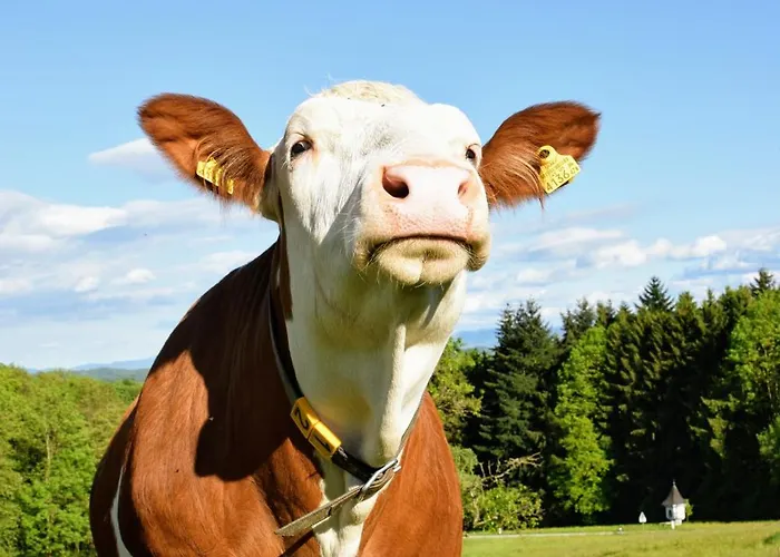 Bauernhof Erleben - Stilvolle 120m2 Im Mostviertel