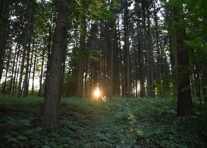 Apartment Bauernhof Erleben - Stilvolle 120m2 Im Mostviertel