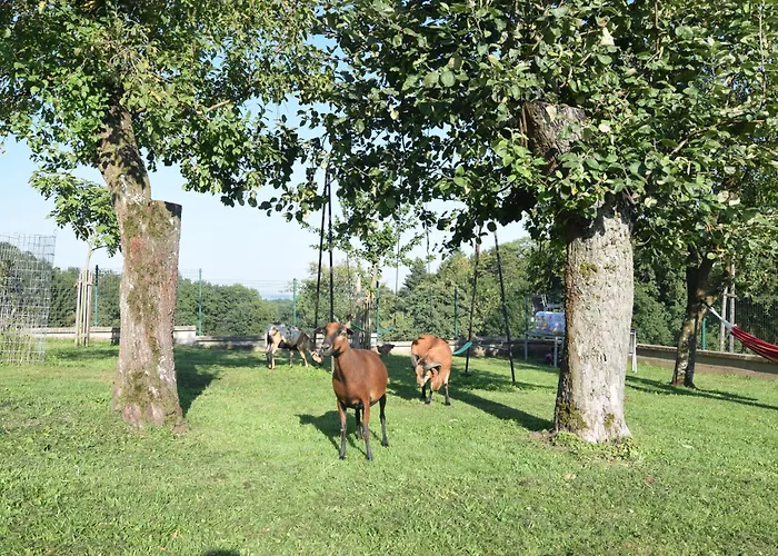 Apartment Bauernhof Erleben - Stilvolle 120m2 Im Mostviertel Sankt Martin am Ybbsfelde