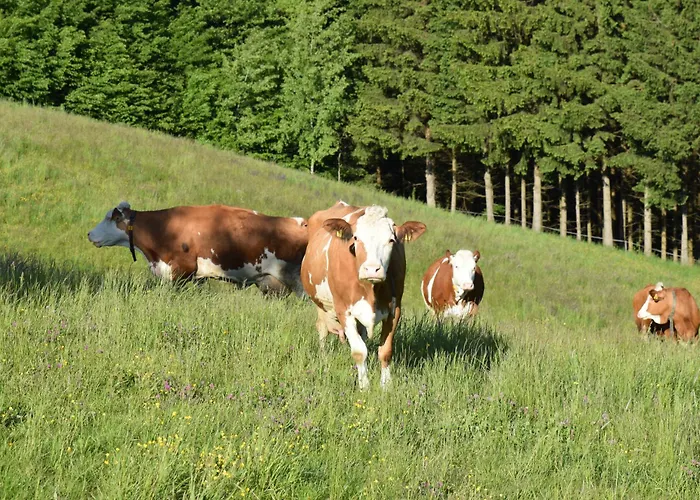 Bauernhof Erleben - Stilvolle 120m2 Im Mostviertel Apartment